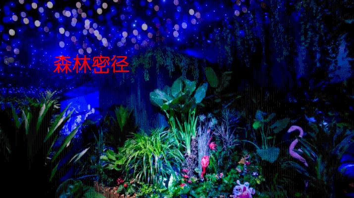 探索知识星球平台,加入盛劲强医生:小脑萎缩初期注意什么事项?星球,拓展你的知识视野!